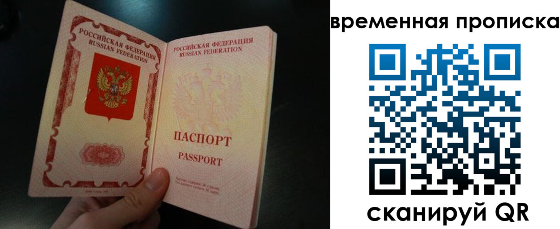 временная регистрация гарантия в Славгороде