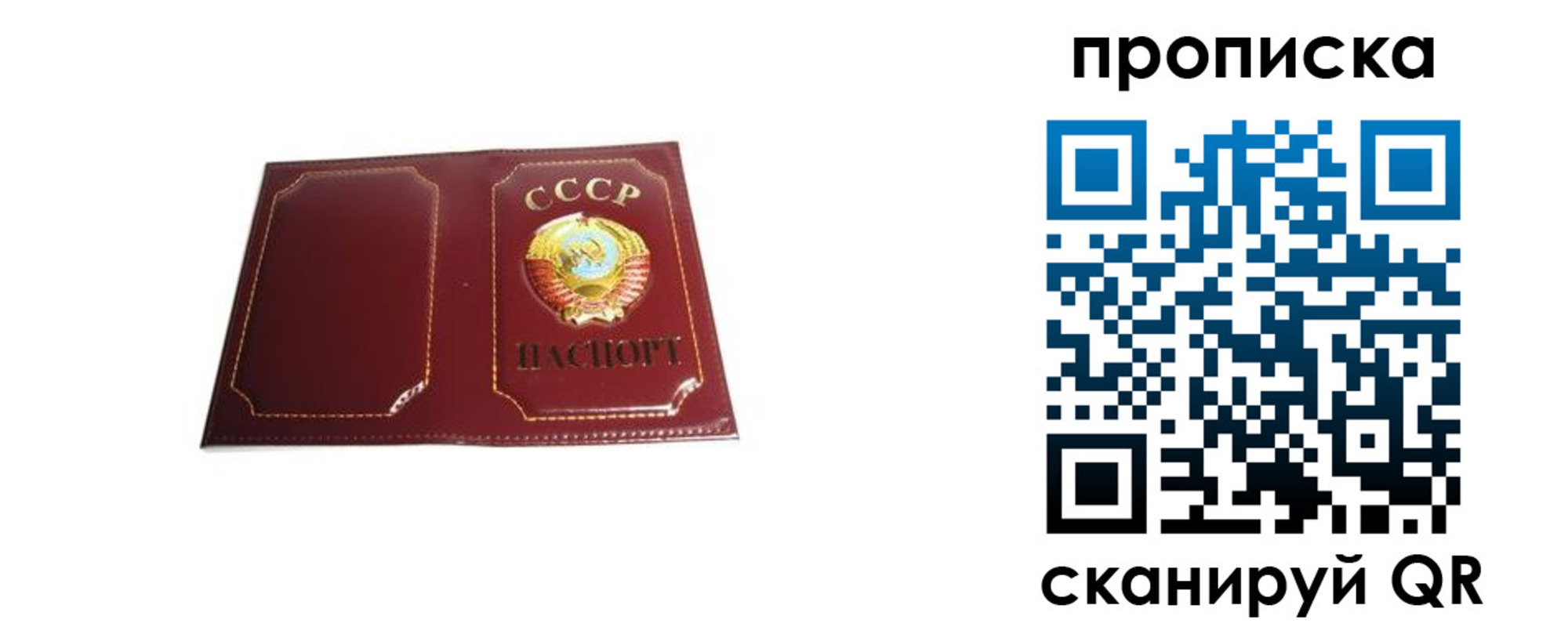 прописка гарантия в Славгороде